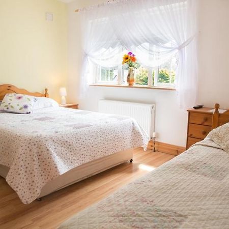 Shannon Breeze B&B Killaloe Bagian luar foto