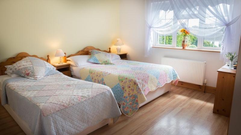 Shannon Breeze B&B Killaloe Bagian luar foto