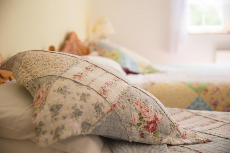 Shannon Breeze B&B Killaloe Bagian luar foto