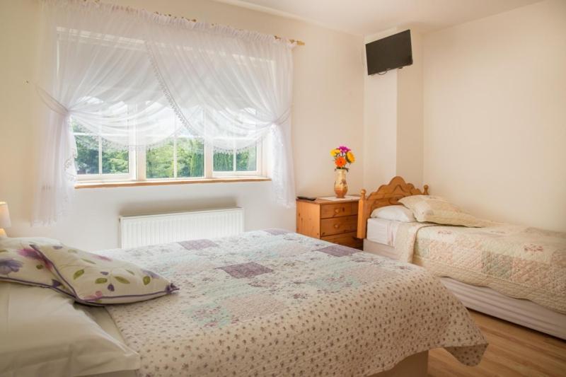 Shannon Breeze B&B Killaloe Bagian luar foto